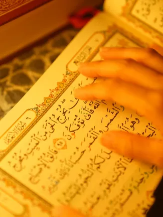 iqra echoes learn quran with tajweed